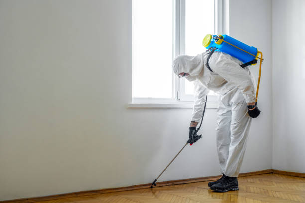 Indoor Pest Control in Elm Grove, WI